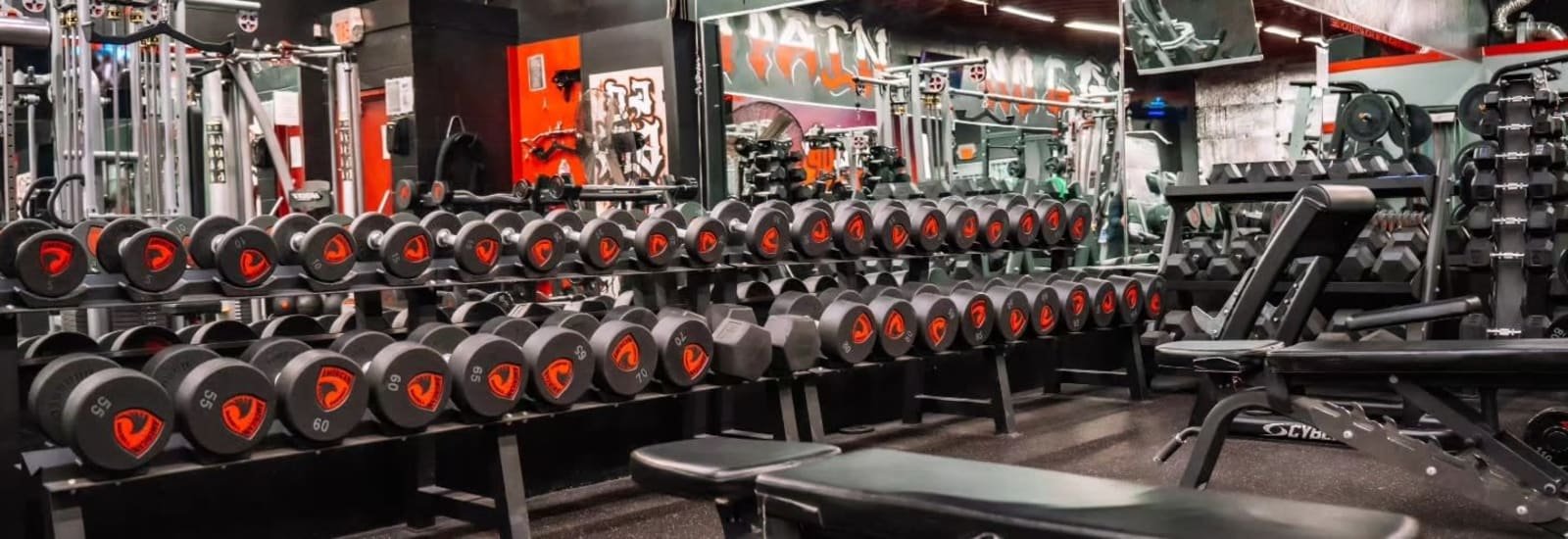 Free-weight floor with dumbbells racked to 110 lb